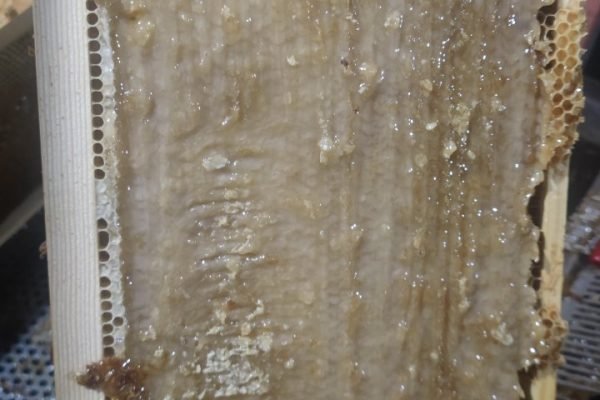 εικόνα_Viber_2025-01-15_18-50-41-648