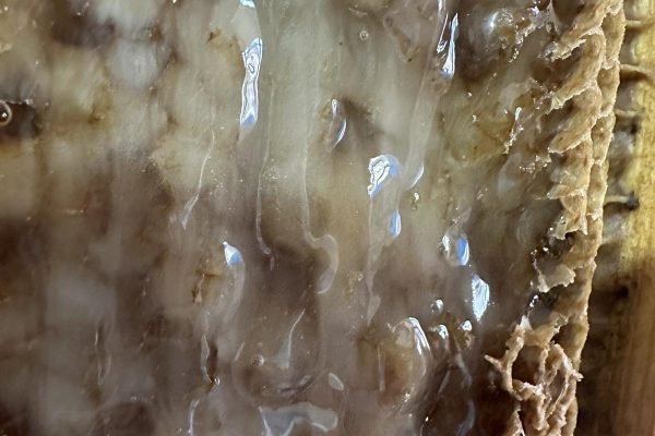 εικόνα_Viber_2025-01-15_18-50-41-676